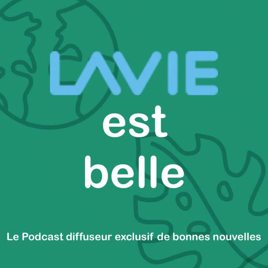 LAVIE est belle