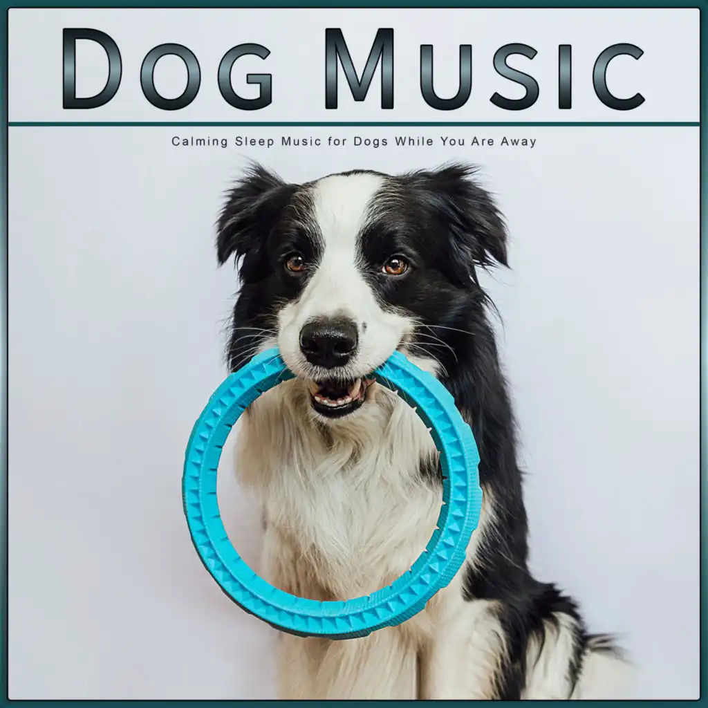 Dog Music: Calming Sleep Music for Dogs While You Are Away