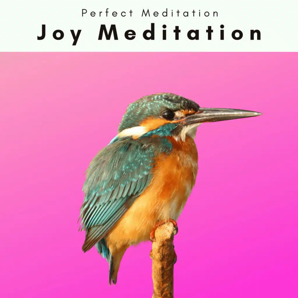 Soft Clear Relax Sounds for Deep Rest