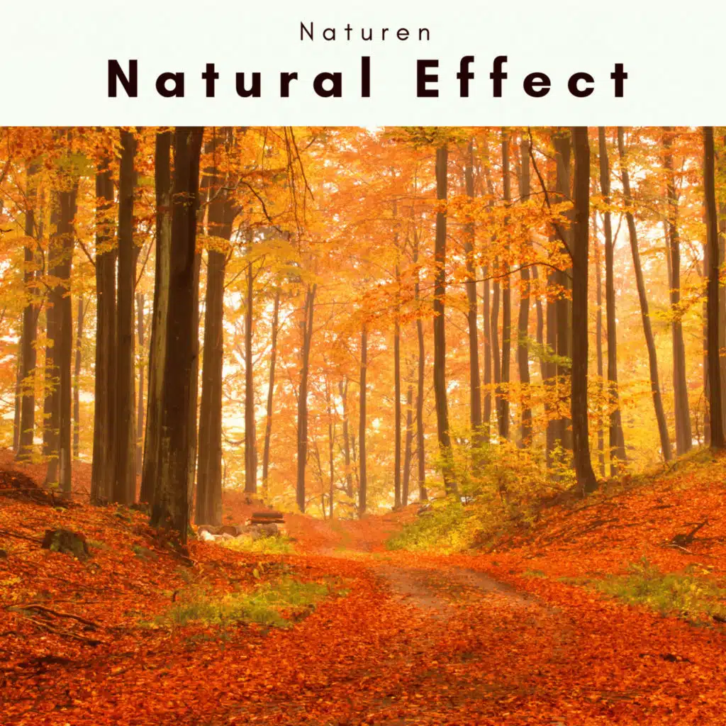 A Natural Effect