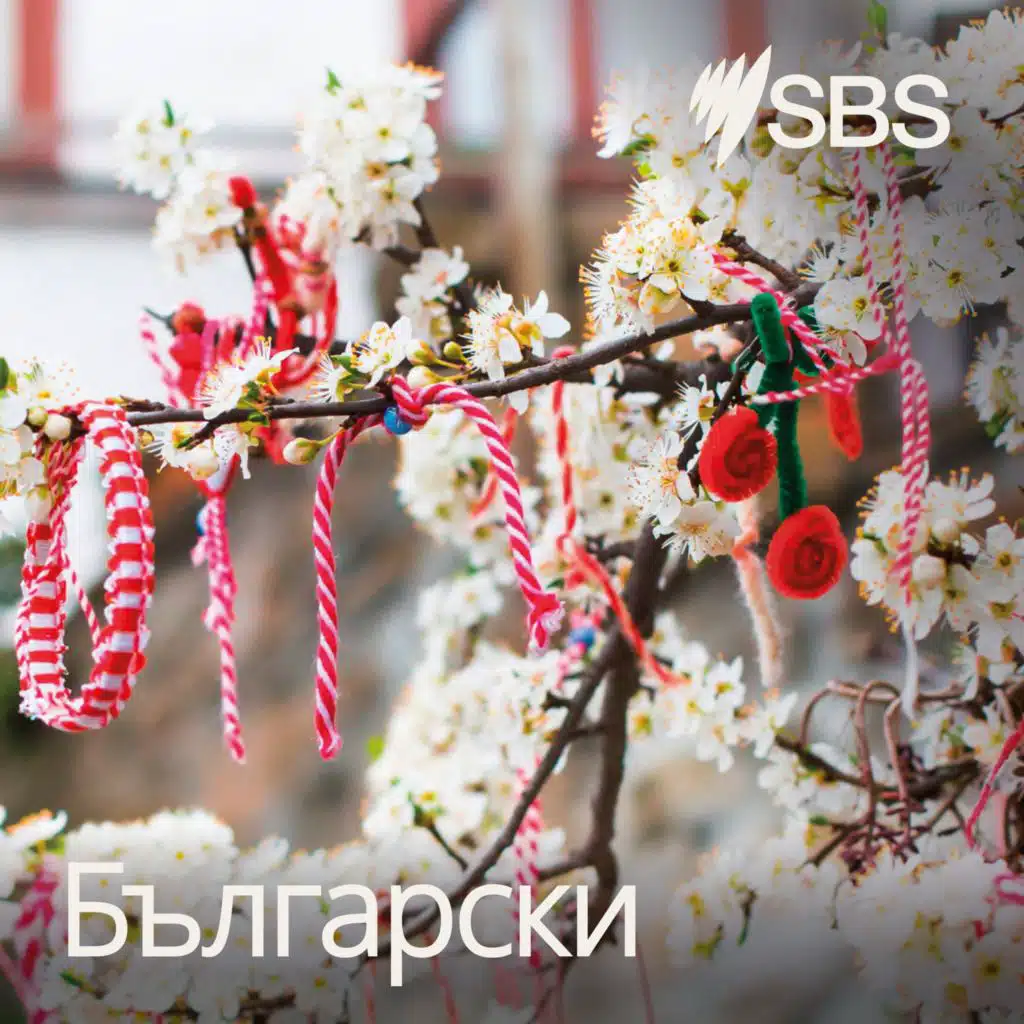 Freindship Festival in Sydney - Фестивал на приятелството в Сидни