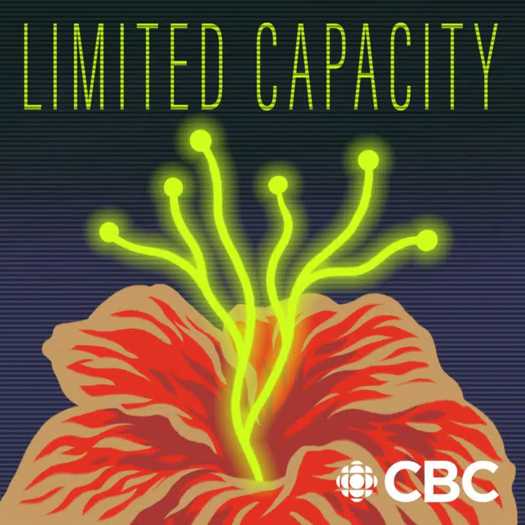 Introducing: Limited Capacity