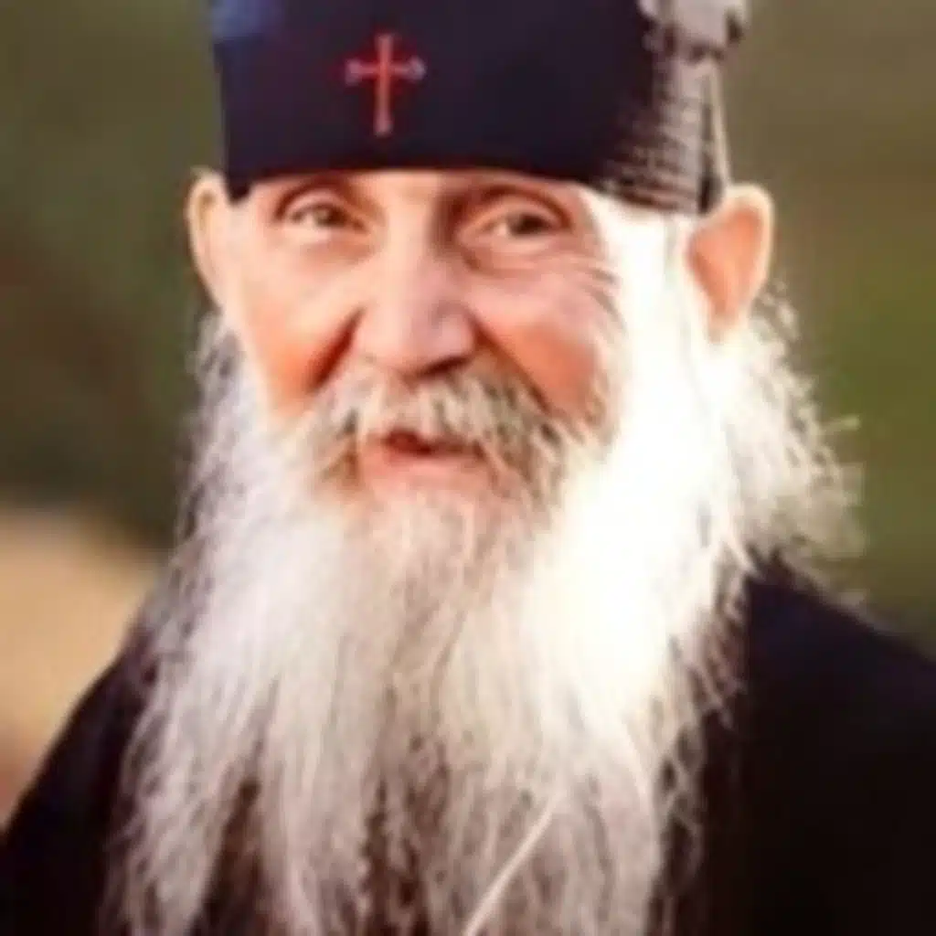 5. On the Orthodox Christian Faith