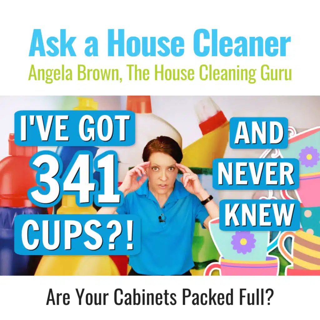 WHAT? I Have 341 Cups in My House? That's Too Many
