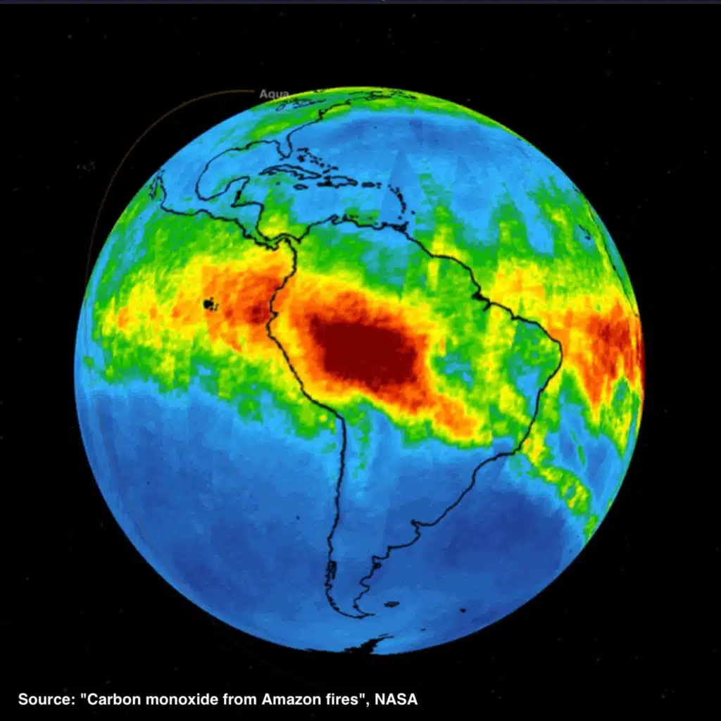 #1302 Protecting the Amazon Rainforest from a Fascist
