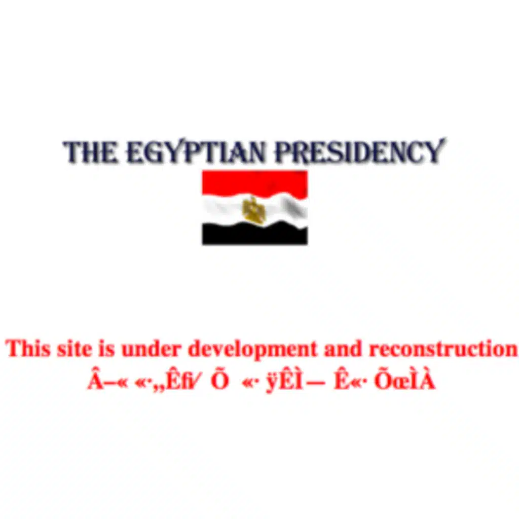 (2011/02/23) Revolution in Egypt Part 3 A revolution well done