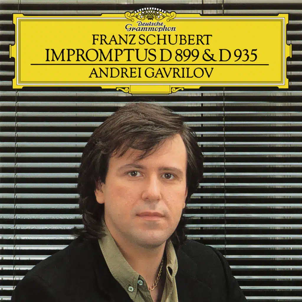 Schubert: Impromptus, Op. 90, D. 899 & Op. 142, D. 935
