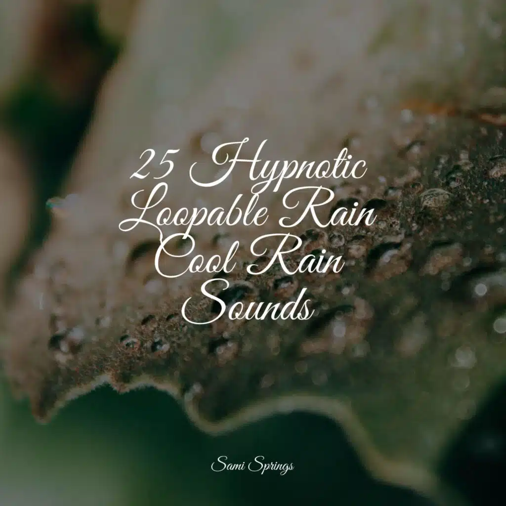 Soothing Music Academy & Loopable Rain Sounds