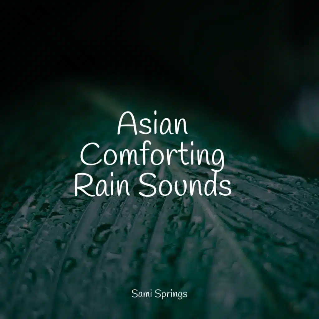 Grassland, Raven, Animal Calls, Wind