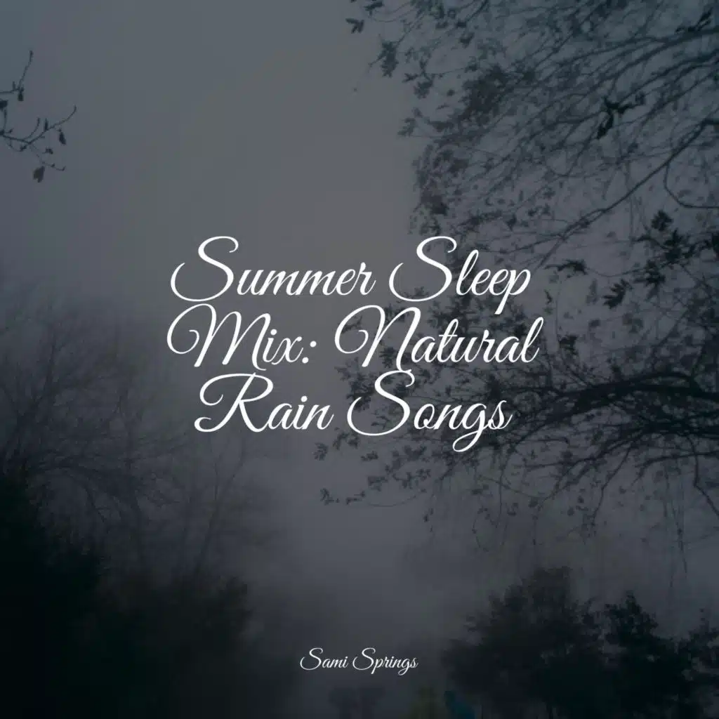 Summer Sleep Mix: Natural Rain Songs