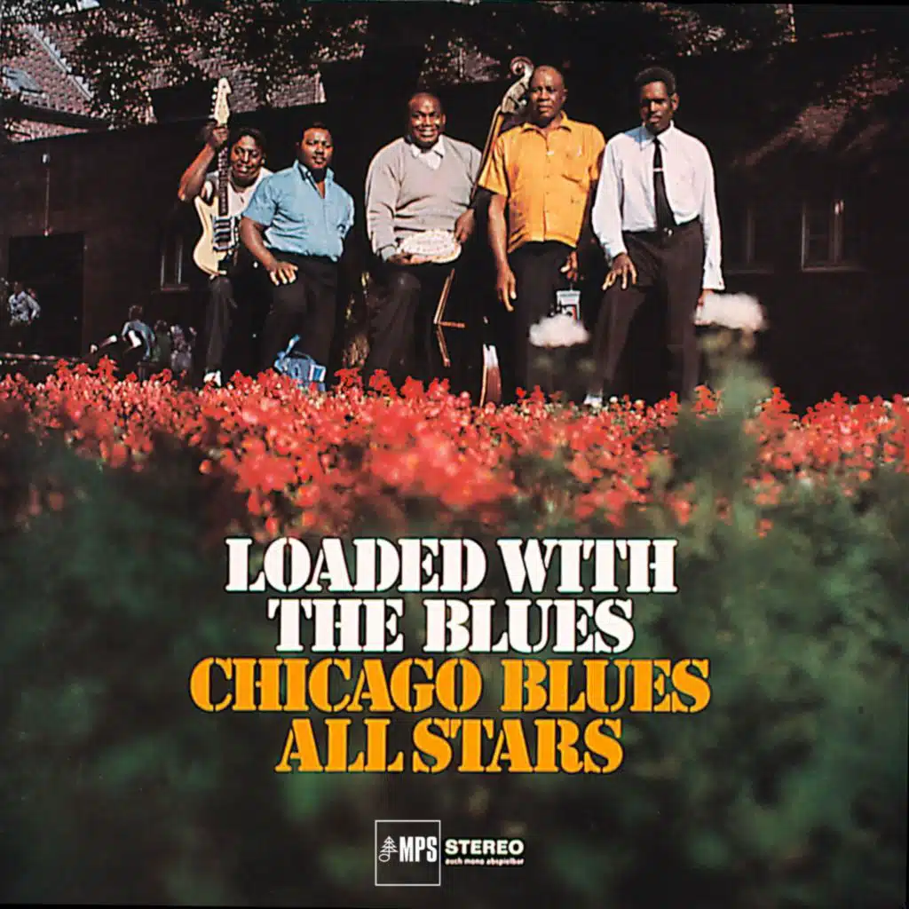 Chicago Blues All Stars