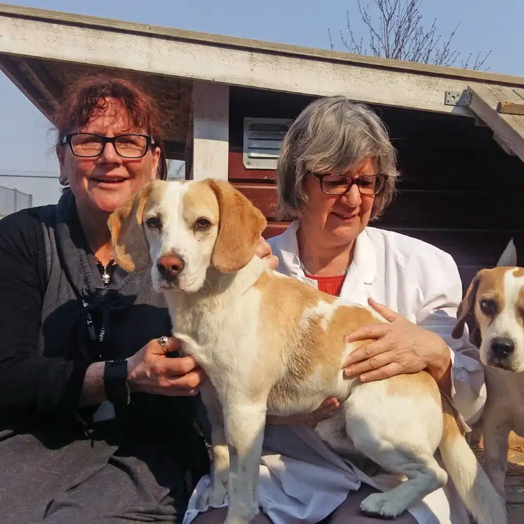 Svårt forska mot djurförsök