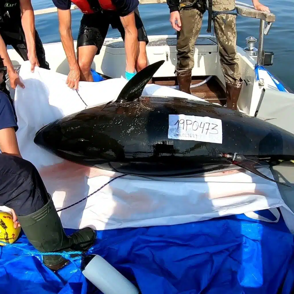 Goda miljönyheter från svenska vatten