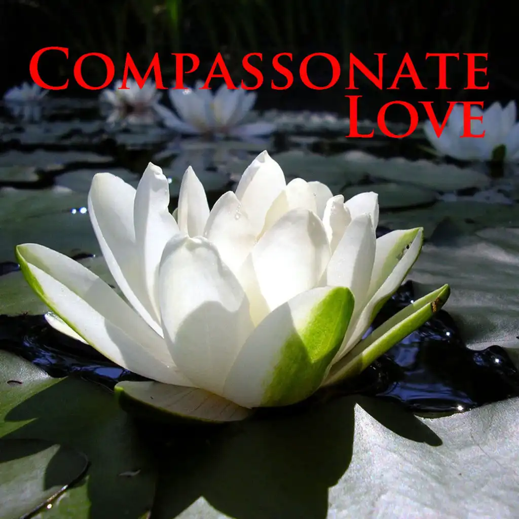 Compassionate Love