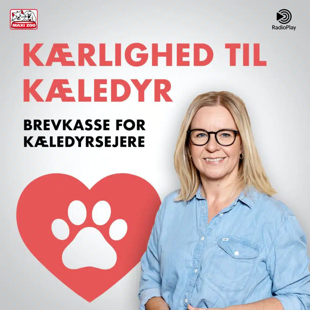 Kærlighed til kæledyr