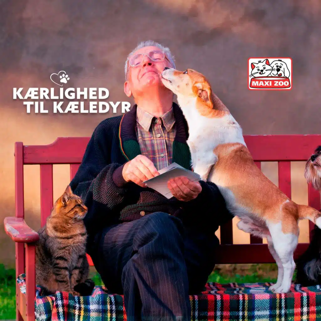 Kærlighed til kæledyr Trailer