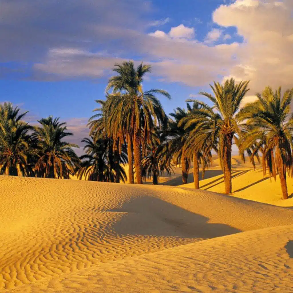 Lingua italiana - "Le due strade".mp3