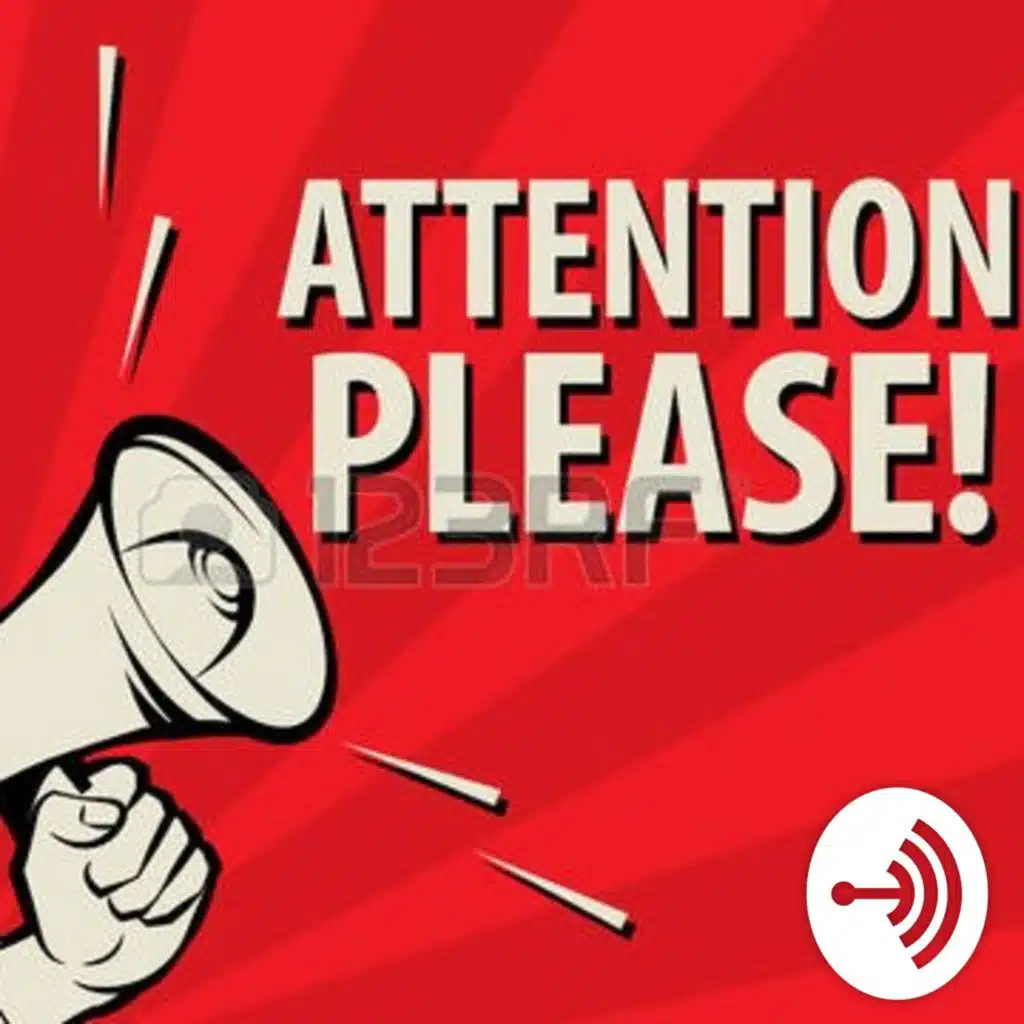 Ewoks vs Wookiees fight!