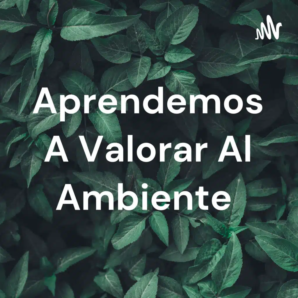 Aprendemos A Valorar Al Ambiente 