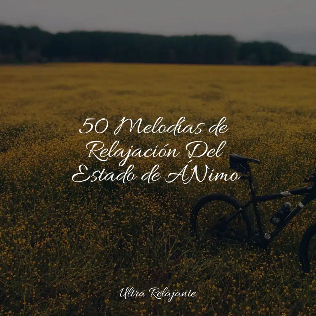 Música Relajante para Bebes & Musica para Dormir 101