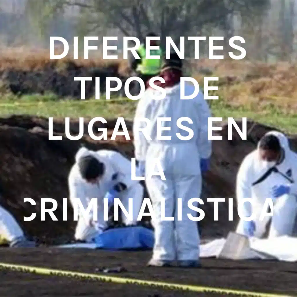 DIFERENTES TIPOS DE LUGARES EN LA CRIMINALISITCA 
