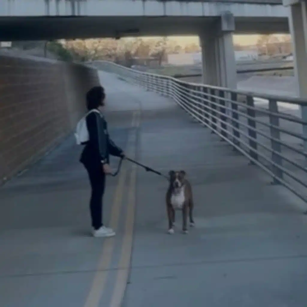 A LITTLE TASTE OF NOT REACTING 