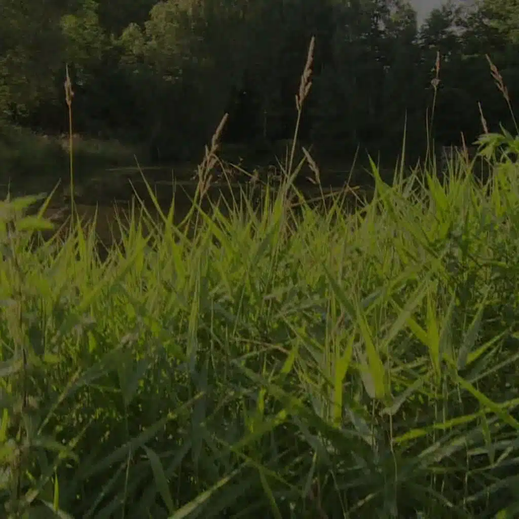 Krimi zprávy - souhrn týdne 18.12.2021