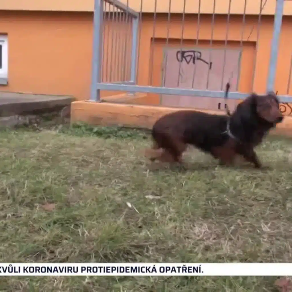 Krimi zprávy 21.12.2021