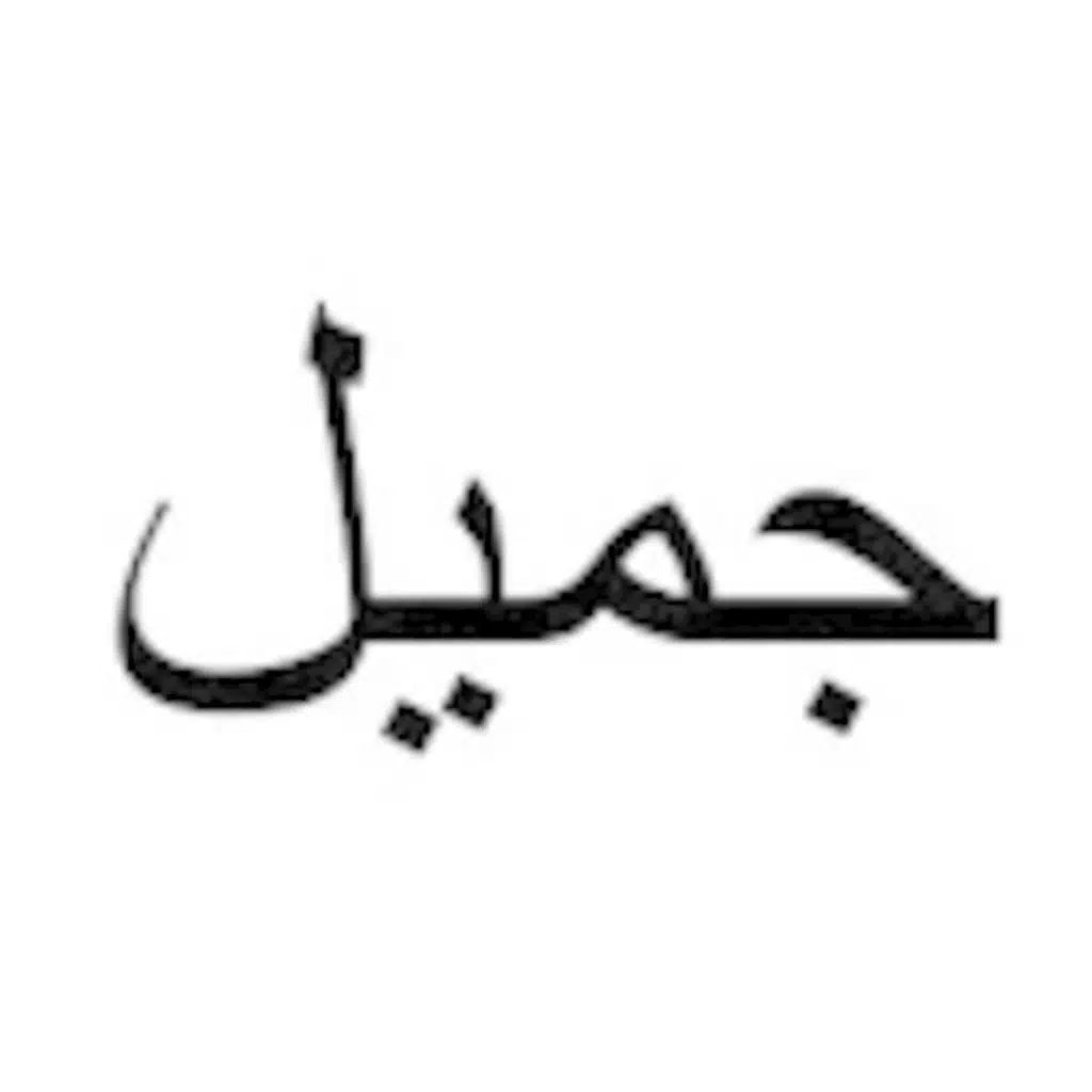 THE SHAFIA HELL HOUSE // HONOR KILLINGS IN CANADA