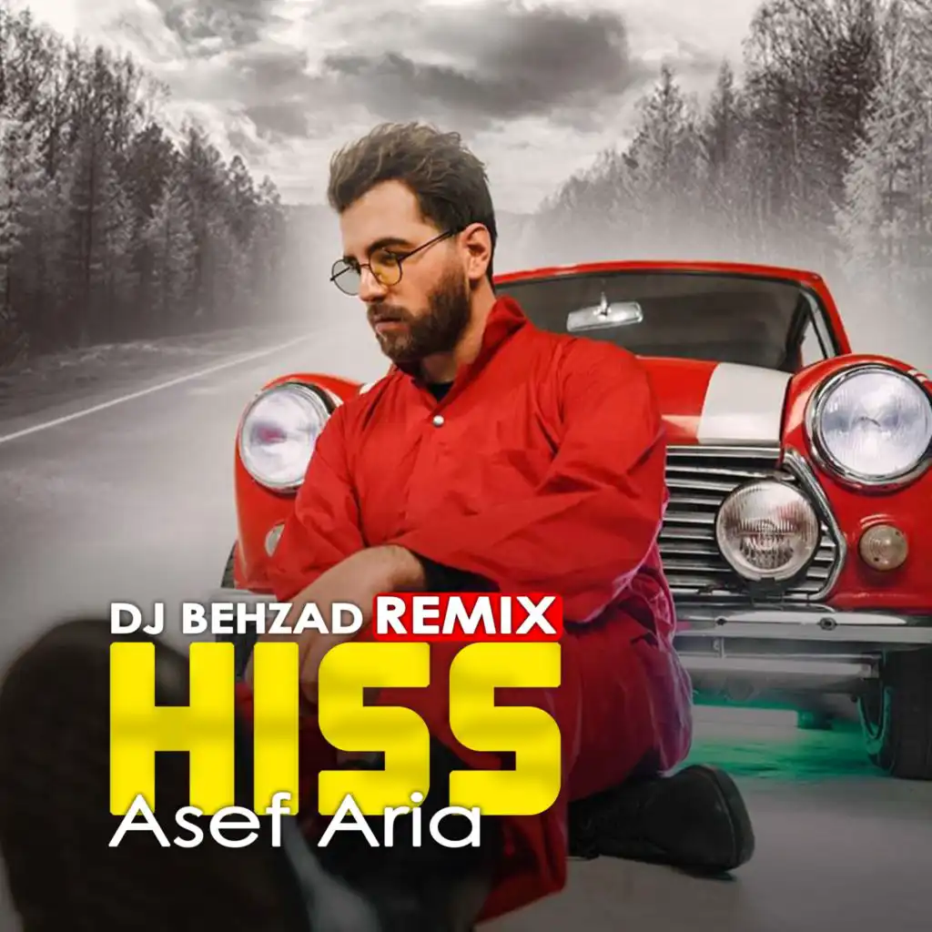 Hiss (Remix)