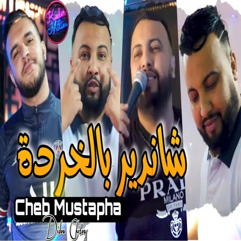 شاندير بالخردة