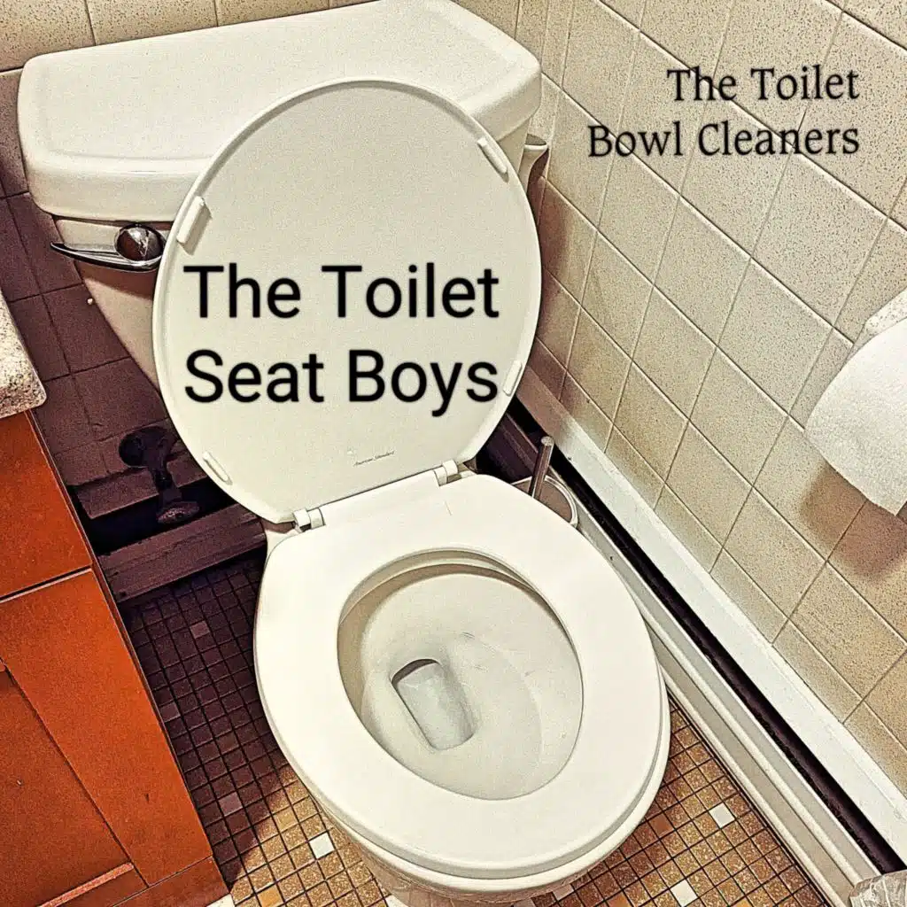 The Toilet Bowl Cleaners