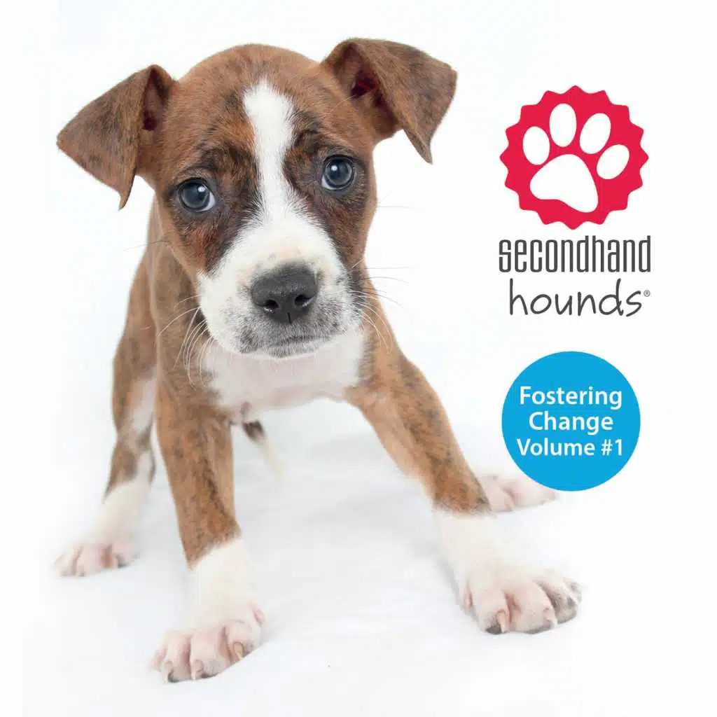 Fostering Change Volume 1