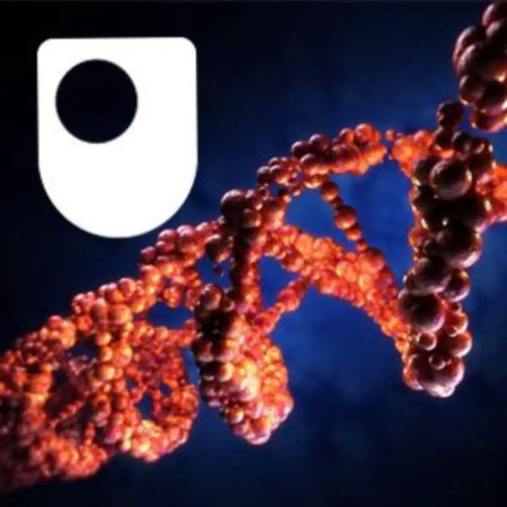 DNA, RNA and protein formation