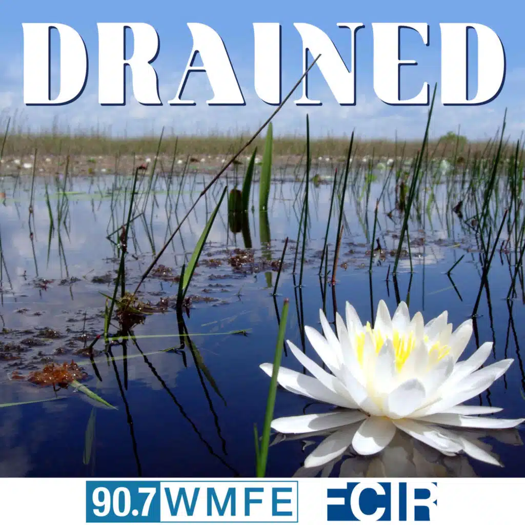 Episode 3: Define Clean