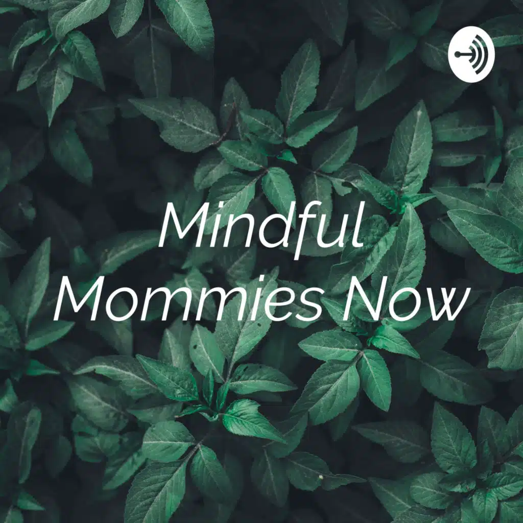 Mindful Mommies Now: the Lactation Series, part 11- breastfeeding myths/diet