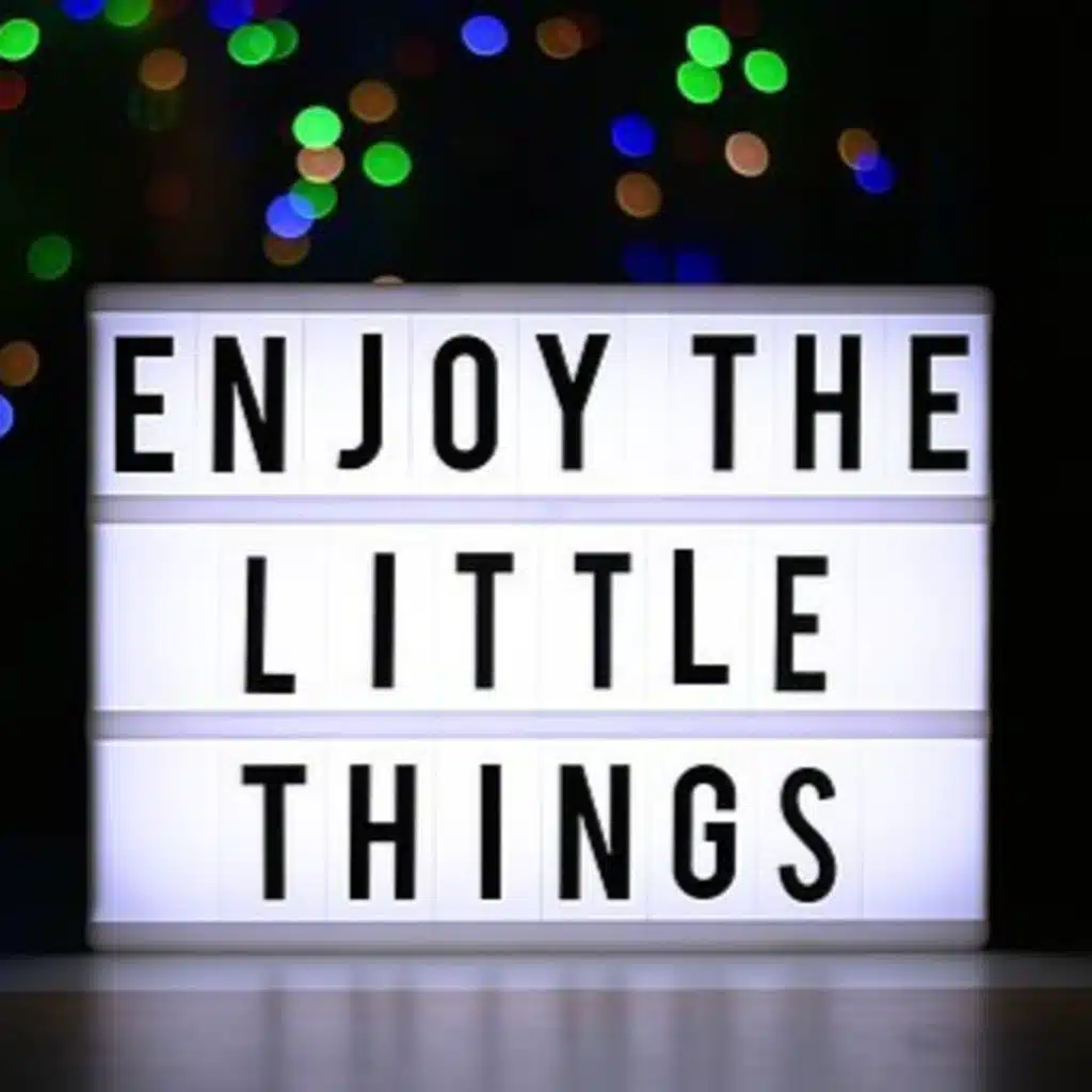 An Attitude of Gratitude - S1E11