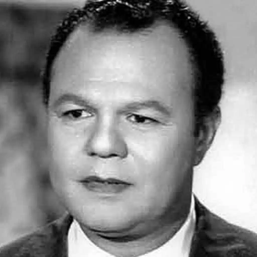 عبد العزيز محمود