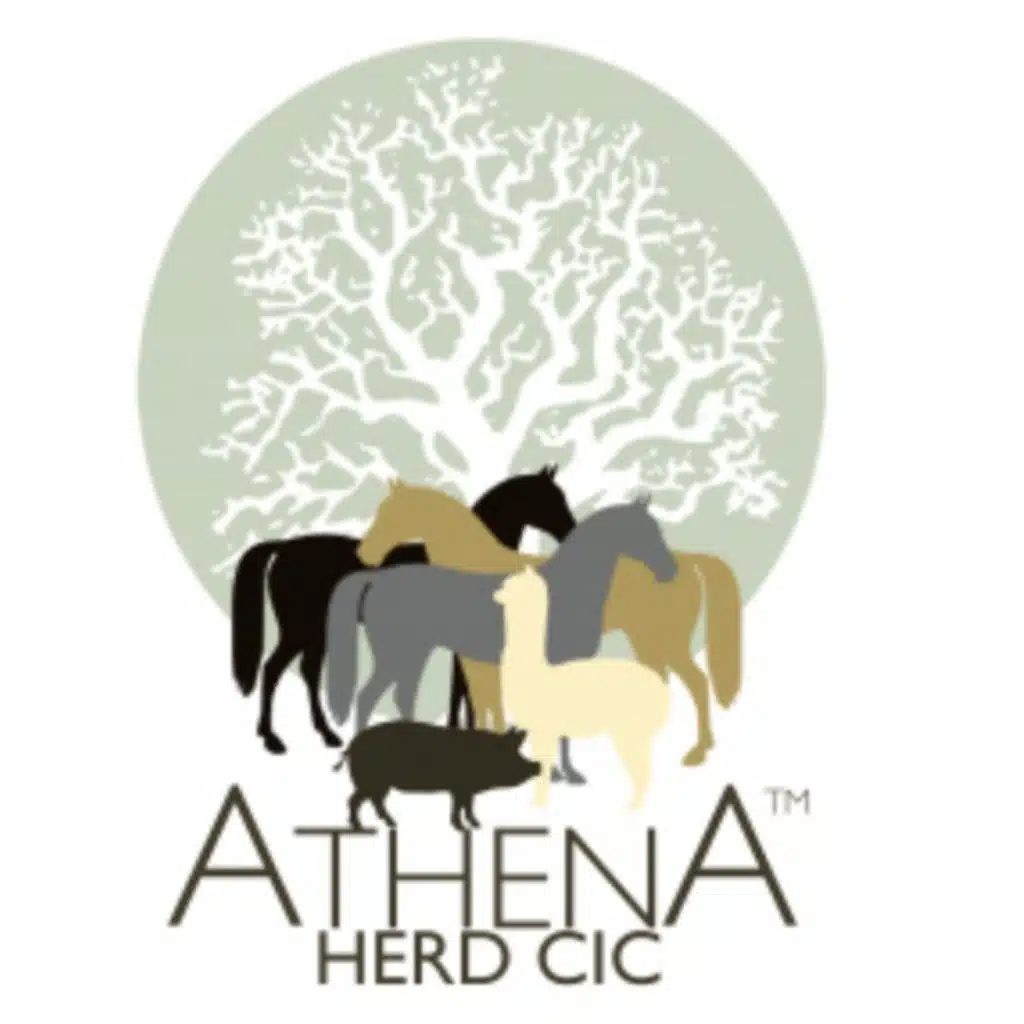 2.1: Athena Herd: How pets can increase our well being, self awareness and self regulation.