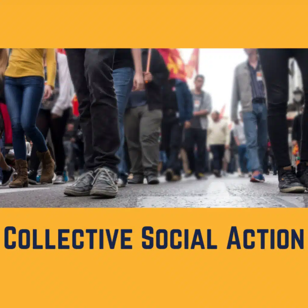2.9 Are Trade Unions a potential vehicle for collective social action, for 16-25 year olds?