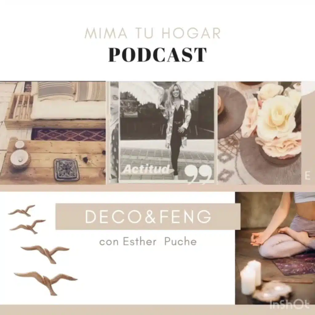 Consejos FENG PRIMAVERA