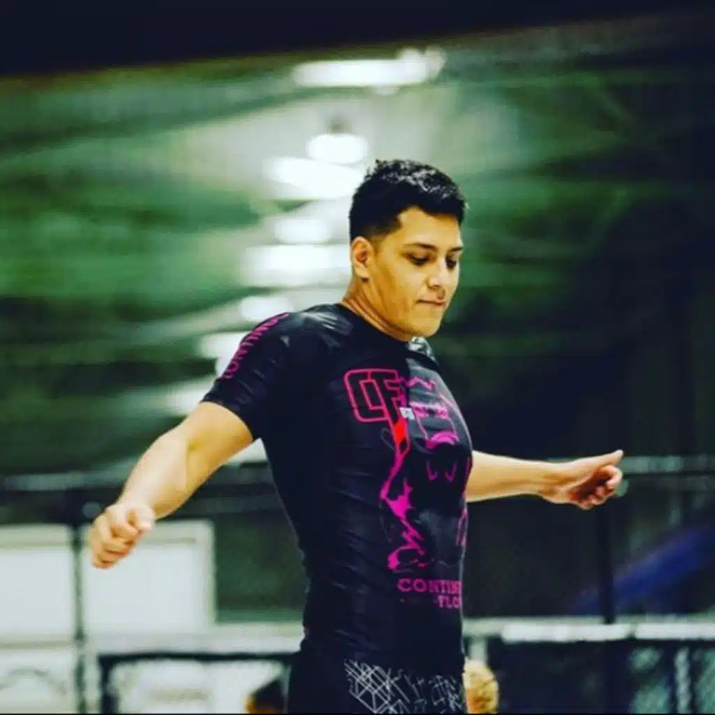 Fighting Hermit - Series 3