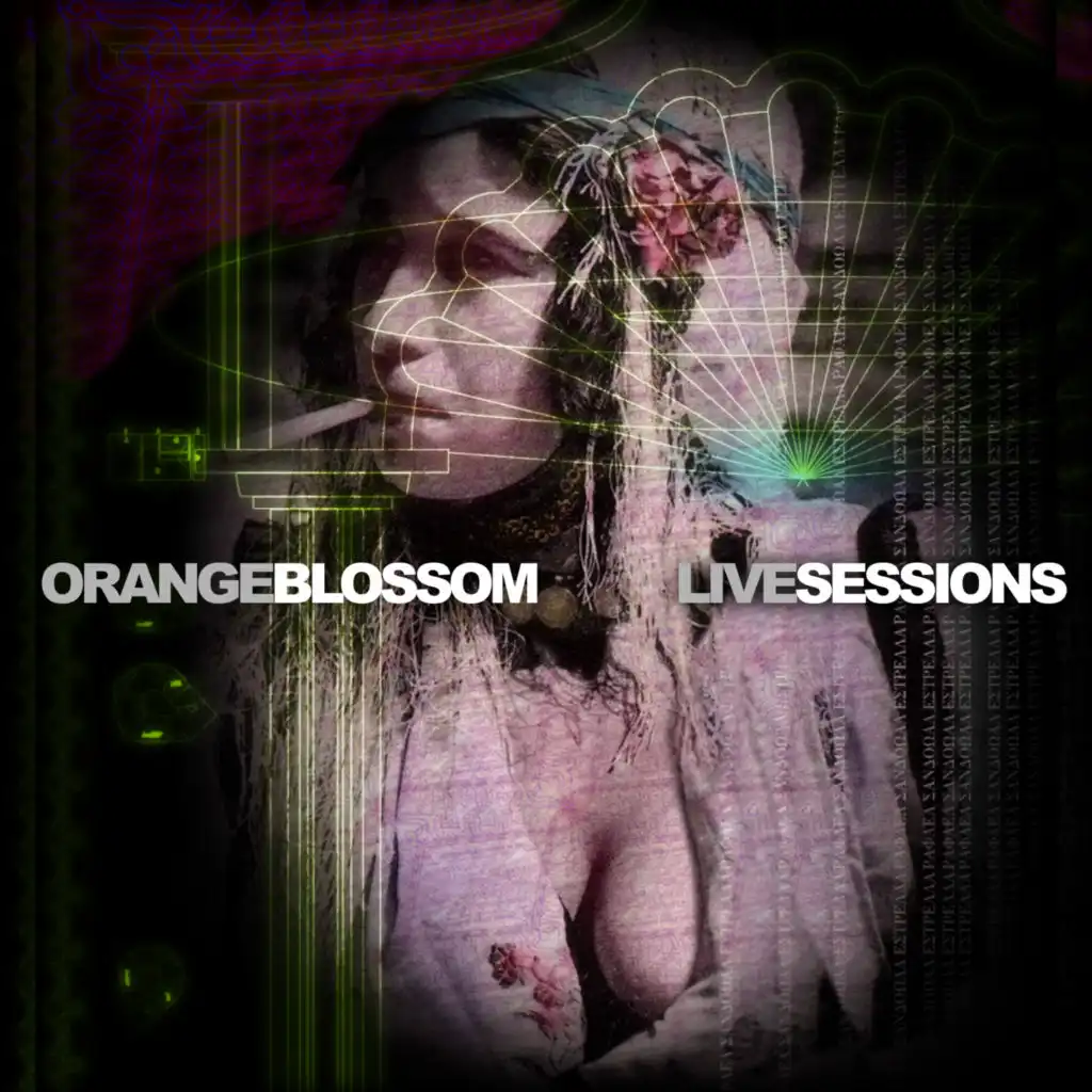 Pitcha - Jerusalem (Blossom Live Sessions)