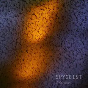 Spygeist