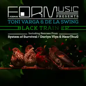 Black Train (Darlyn Vlys & HearThuG Rework)