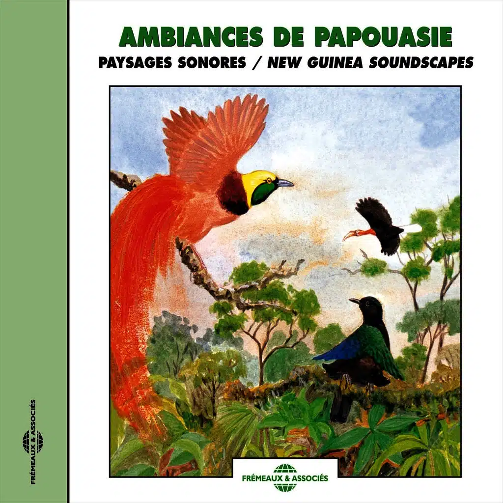 Ambiances de Papouasie - New Guinea Soundscapes (Paysages sonores)