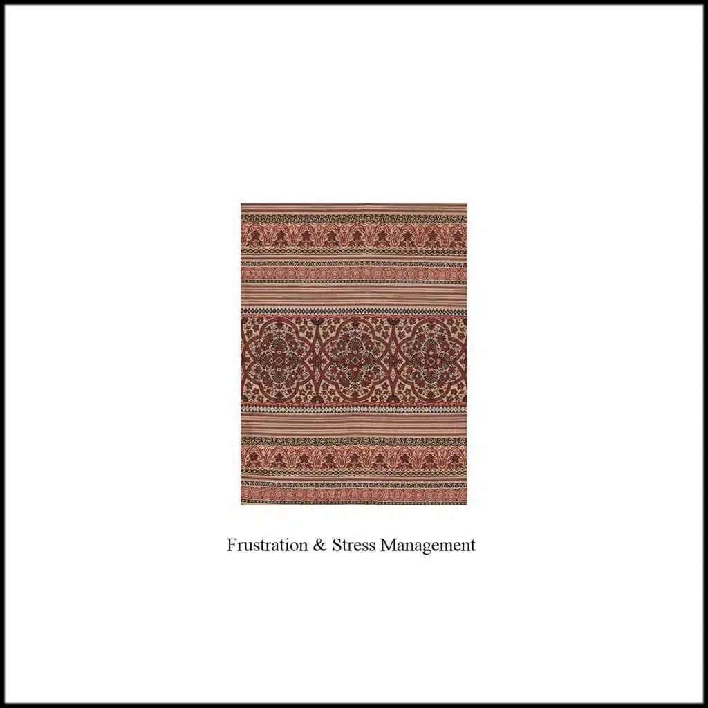 Frustration and Stress Management - Single