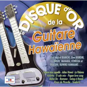 Le disque d'or de la guitare hawaïenne