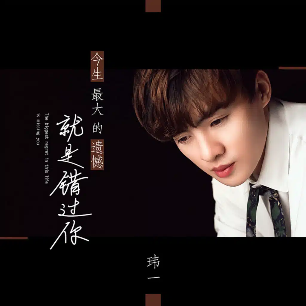 今生最大的遗憾就是错过你 (DJ默涵版)