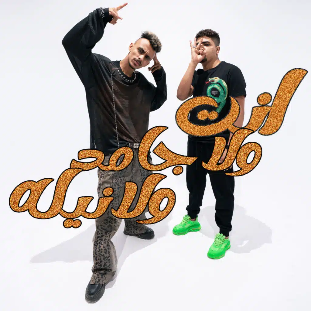 انت ولا جامد ولا نيله